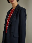 Löwe der Veranda Americana - LP002757