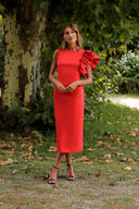 Silvia Fernández Midikleid - VIVIANA