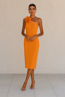 Silvia Fernández Midikleid - GEORGINA