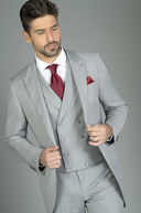 Chaqué de Toni Fernández - 1P394/36