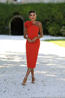 Silvia Fernández Midikleid - GEORGINA