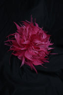 Aplique de plumas Toni Fernández - ÉTER